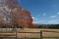 Wooden horse fence surrounding a large meadow with colorful autumn red trees Royalty Free Stock Photo