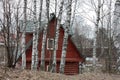 Wooden house among birches spring