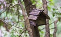 Wooden house for birds on a tree branch Royalty Free Stock Photo