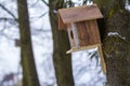 A wooden house for birds on the tree in the forest. Place to feed and to find food in winter time for birds. Bird feeder in park. Royalty Free Stock Photo