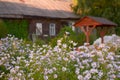 Wooden house with carved windows in Vologda Russia . Russian style in architecture. Rustic russian house with garden