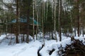 Wooden house in a dense winter forest.