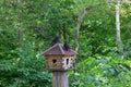 A wooden house-feeder, standing on the trunk of a tree in the Park, on the roof sit two pigeons