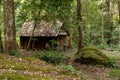 Wooden house in forest Royalty Free Stock Photo