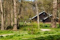 Wooden house in the forest