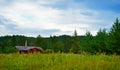 A wooden house in forest