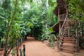 Wooden house in the forest