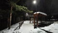 Wooden house, gazebo in a dark snowy forest at night Royalty Free Stock Photo