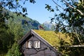 Wooden house with grass on roof Royalty Free Stock Photo