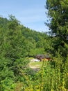 A wooden house on a green meadow in mountains. A house near old forest. Lifestyle in the Carpathian village. Royalty Free Stock Photo