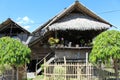 Wooden house on piles, village life, white dog, poor village hut with coco palm leaf roof