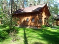 A wooden house in pine forest