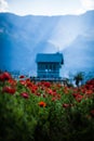 wooden house on the poppy field against the blue mountains in the summer in China