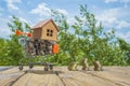 Wooden house on a shopping cart with money coins. Against the background of green trees and sky. Royalty Free Stock Photo