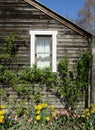 Wooden house with side double hung window. Spring time at Steveston Village, Richmond, BC, Canada