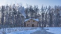 The wooden house stands on the edge of a birch grove. Royalty Free Stock Photo