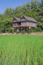 Wooden house in Thai style locate on rice field.