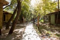 Wooden house in the village. Autumn landscape in the village. Yellow leaves on the ground. Royalty Free Stock Photo