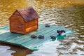 Wooden house on the water with turtles and a wet crow, a pond in the park