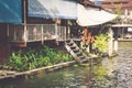 Wooden houses along the canals river, Thailand Royalty Free Stock Photo