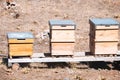 Houses for bees in a village apiary in a dry country