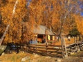 Autumn Baihaba village in Xinjiang, China