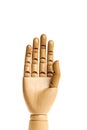 Wooden, human hand.