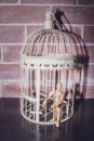 Wooden Human Manikin locked inside a white ornamental bird cage