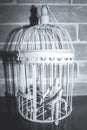 Wooden Human Manikin locked inside a white ornamental bird cage