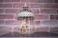 Wooden Human Manikin locked inside a white ornamental bird cage