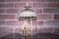 Wooden Human Manikin locked inside a white ornamental bird cage