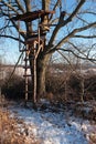 Wooden hunter high stand with roof made of corrugated plate and ladder from logs.