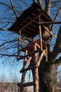 Wooden hunter high stand with roof made of corrugated plate and ladder from logs.