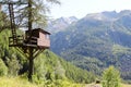 Hunting hut on a tree Royalty Free Stock Photo
