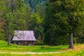 Wooden hunting lodge at the edge of a coniferous Royalty Free Stock Photo