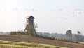 Wooden hunting tower in a field with flock of flying birds in distance