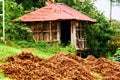 Wooden hut on the hazelnut field of an highland