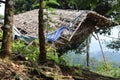 wooden hut in the middle of the forest in the morning Royalty Free Stock Photo