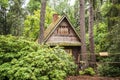 Wooden hut and rhododendrons in forest. The arboretum at Lacupite, Latvia