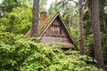 Wooden hut and rhododendrons in forest. The arboretum at Lacupite, Latvia