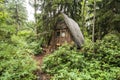 Wooden hut and rhododendrons in forest. The arboretum at Lacupite, Latvia