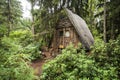 Wooden hut and rhododendrons in forest. The arboretum at Lacupite, Latvia