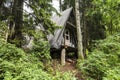 Wooden hut and rhododendrons in forest. The arboretum at Lacupite, Latvia