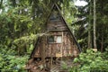 Wooden hut and rhododendrons in forest. The arboretum at Lacupite, Latvia