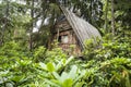 Wooden hut and rhododendrons in forest. The arboretum at Lacupite, Latvia