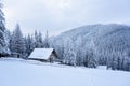 Wooden hut stand in the forest. Royalty Free Stock Photo