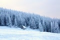 Wooden hut stand in the forest. Royalty Free Stock Photo