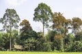 The wooden huts in rice fields and trees with multiple colors