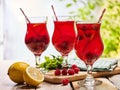 On wooden ice cold beverage glasses with red berries cocktail . Royalty Free Stock Photo