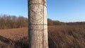 Wooden idol Slavic god Perun